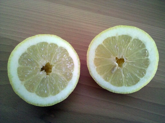 Zitrone 4