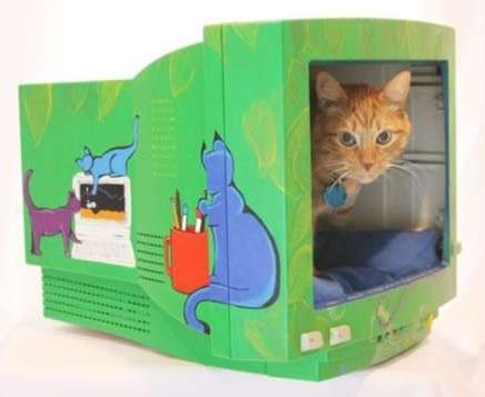3D-Katzen-Monitor