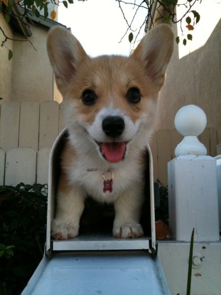 You've got Mail