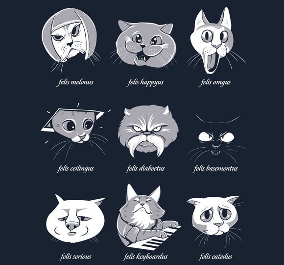 Types Of Internet Cats