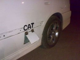 Katzenklappe Auto 3