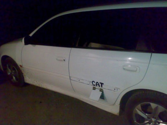 Katzenklappe Auto