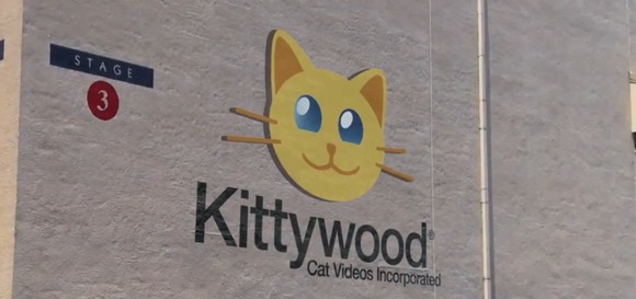Cat Videos Incorporated