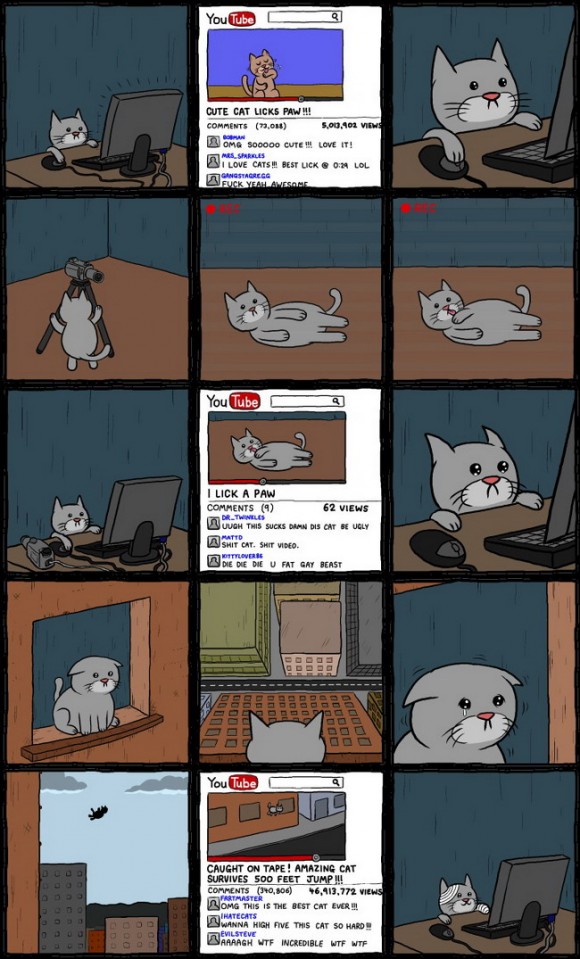 YouTube Cat