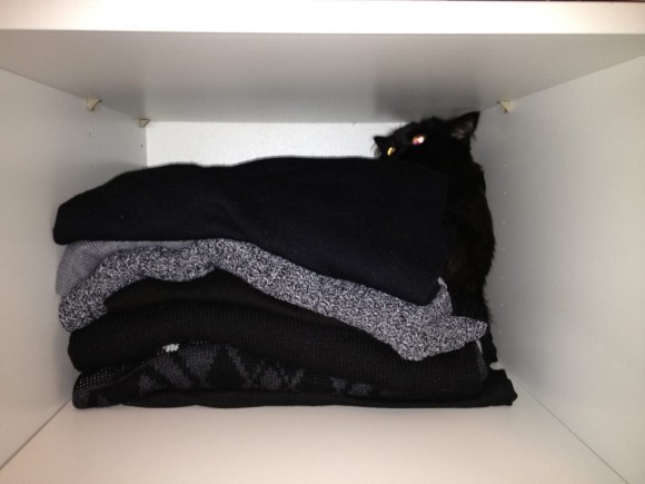 Katze im Schrank