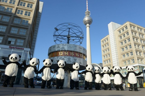 Pandas in Berlin 5 - Foto Copyright Frank Senftleben