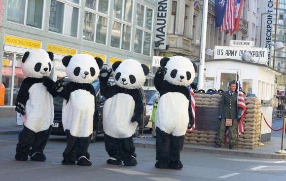 Pandas in Berlin 7 - Foto Copyright Frank Senftleben