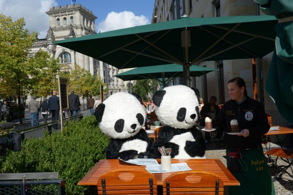 Pandas in Berlin 8 - Foto Copyright Frank Senftleben