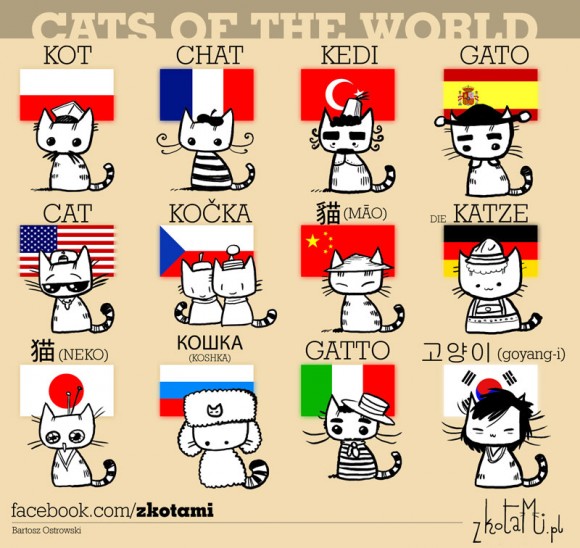 Cats of the world