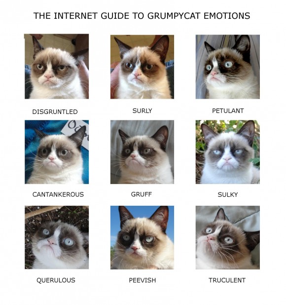 Grumpy Cat Emotion Chart