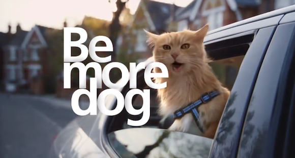 BE MORE DOG