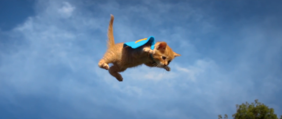 Flying Kittens and Puppies