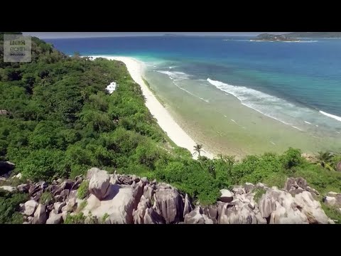 10 Hours of Relaxing Island Sounds | Planet Earth II | Earth Unplugged
