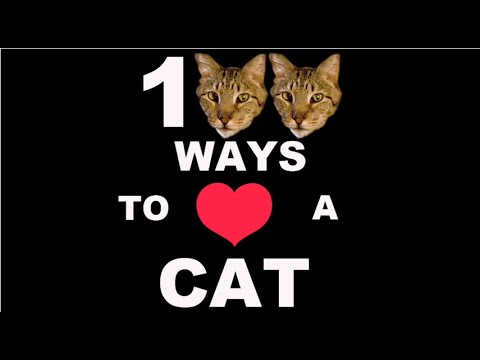 100 Ways To Love A Cat: Ways 1-100