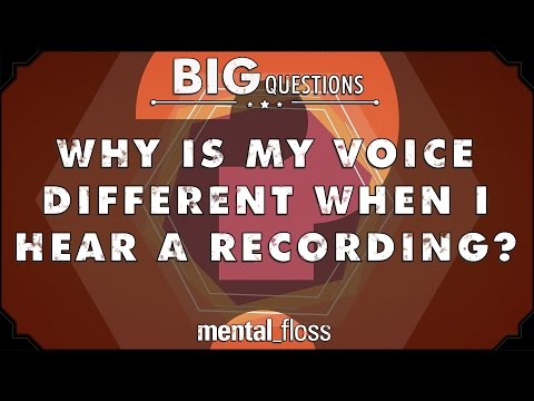 Why is my voice different when I hear a recording? - Big Questions - (Ep. 207)