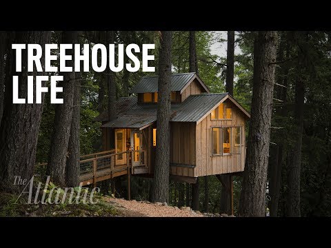 Would You Live in a Treehouse?