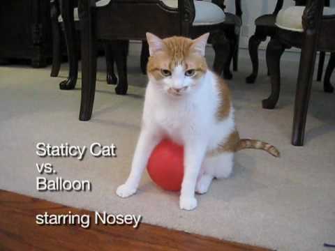 Staticy Cat vs. Balloon
