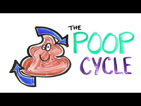 The Poop Cycle