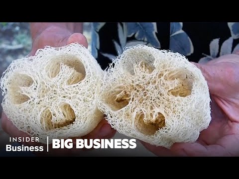 How 200,000 Luffas Become Kitchen Sponges | Big Business | Insider Business