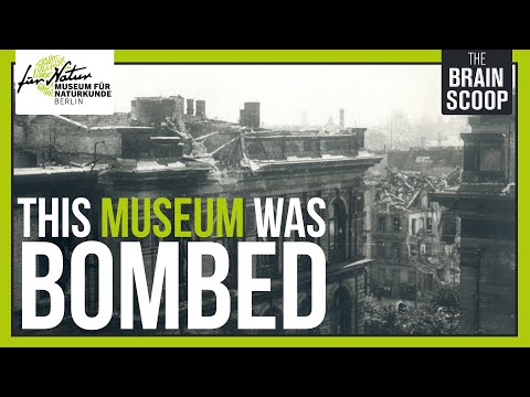 200 years, WWI &amp; WWII, Communism: The Story of Berlin&#039;s Natural History Museum