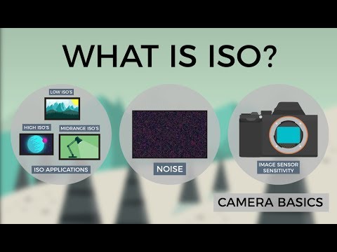 Camera Basics - ISO