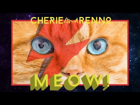 Cherie and Renno / MEOW! (Official music video)