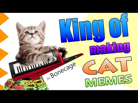 King of Making Cat Memes - 90s Parody