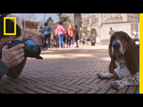 A Day in the Life of &#039;The Dogist,&#039; Pet Photographer Extraordinaire | Short Film Showcase