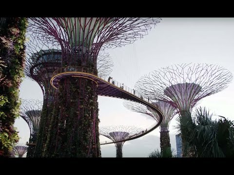 10 Hours Of Relaxing Planet Earth II City Sounds | Earth Unplugged