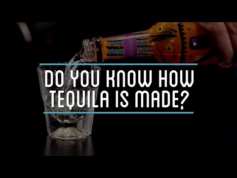 Do You Know How Tequila Is Made?