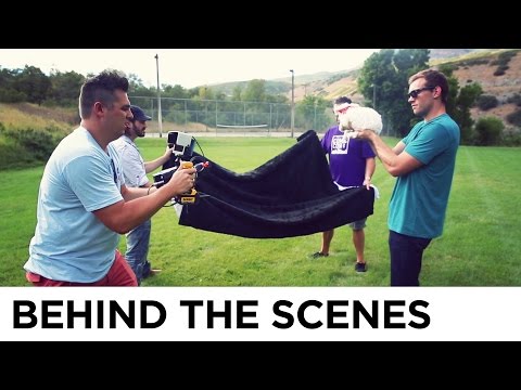 Flying Kittens vs. Flying Puppies - Behind the Scenes