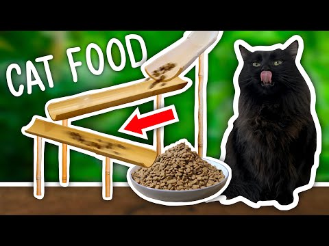 I Built a GIANT Cat Food Marble Run!