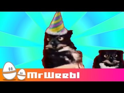 Rotate Your Owl : animated music video : MrWeebl
