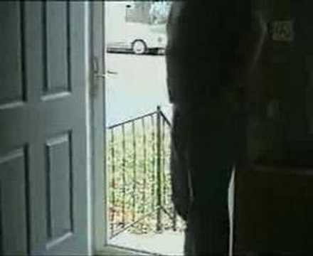 stupid dog does not realize there is no glass in the door