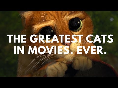 The Greatest Cats In Movies. Ever. (Best Cat Scenes Supercut)