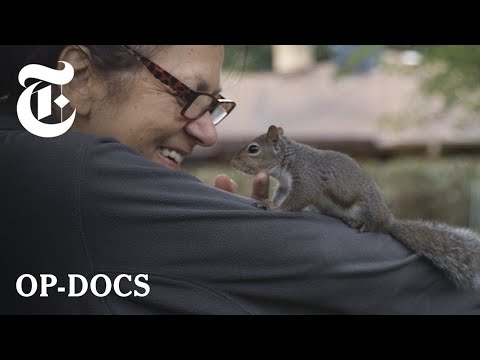 My Mom Has Two Sons: Me and a Squirrel | Op-Docs
