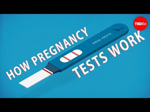 How do pregnancy tests work? - Tien Nguyen