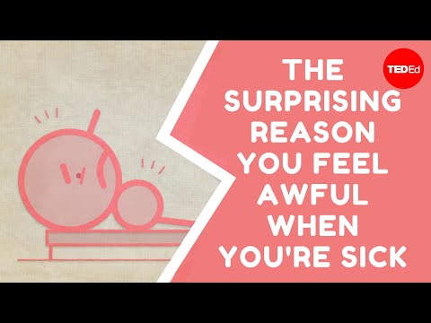 The surprising reason you feel awful when you&#039;re sick - Marco A. Sotomayor