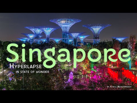 Hyper-Real Singapore: A Hyperlapse Journey Through a Modern Marvel in State of Wonder