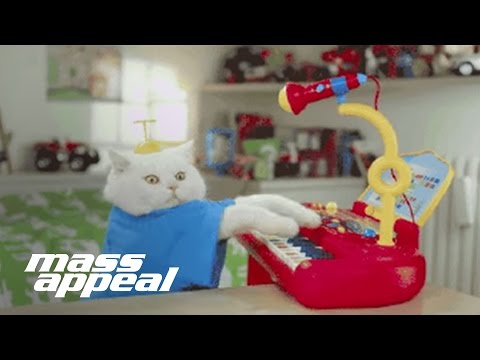 Run the Jewels - All Meow Life (Nick Hook Remix) (Official Video)