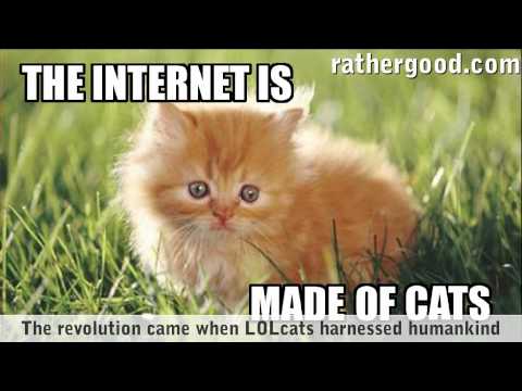 The Internet Is Made Of Cats