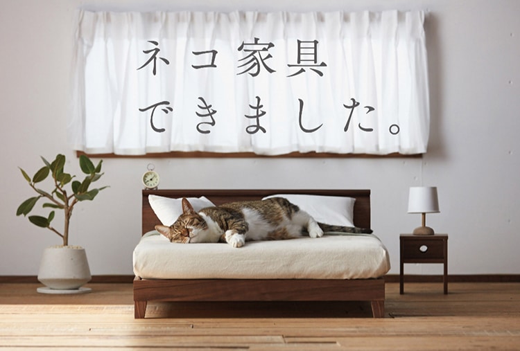 In Japan Gibt Es Jetzt Richtig Schone Mobel Fur Katzen